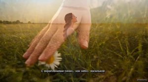 🌼 Ромашковое платье _ Красивая песня о ромашковом поле 🌼 #ЛетняяПесня #авторскаяпесня