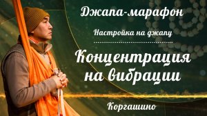 2026.08.01 - Джапа-марафон. Концентрация на вибрации. Настройка на джапу. Е. С. Даяван Свами
