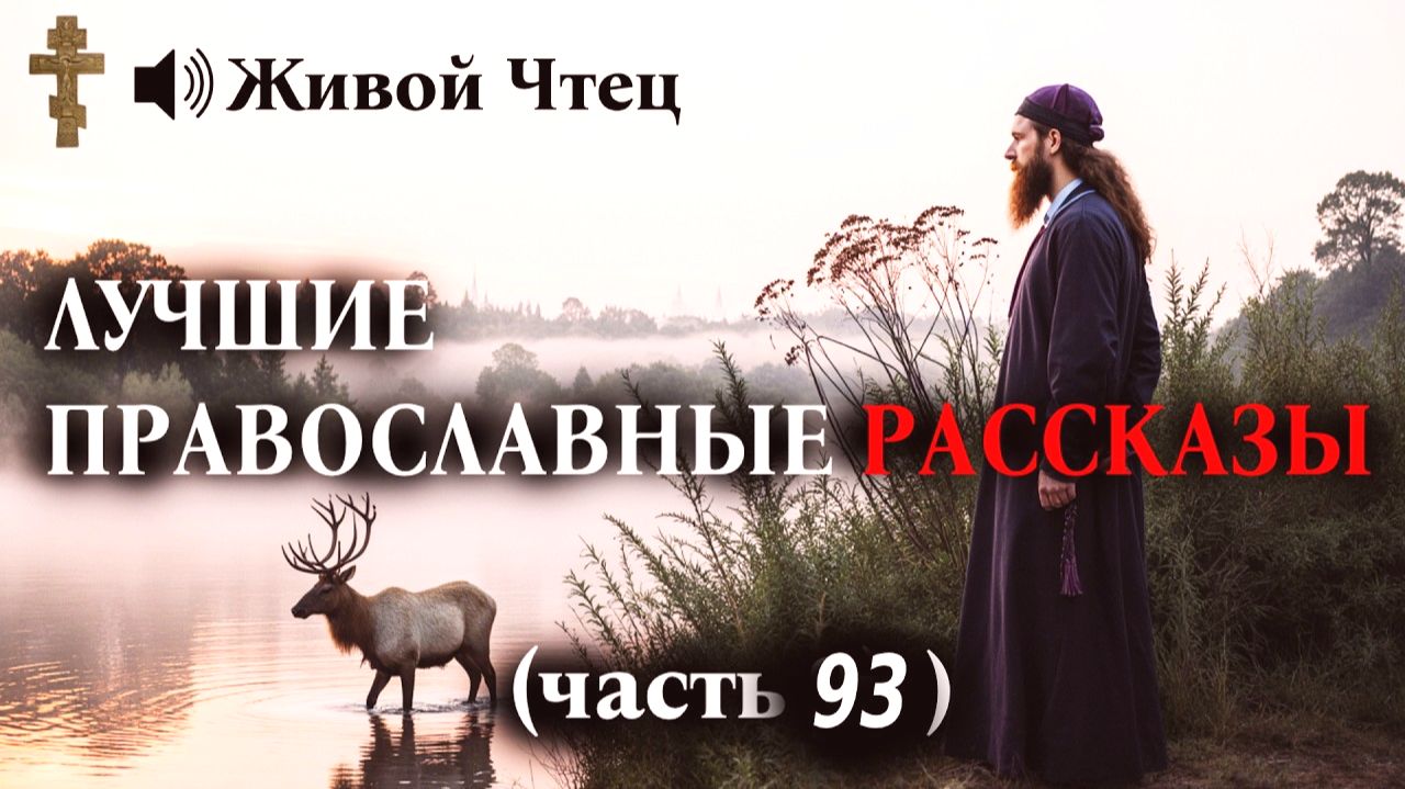 СЕСТРА ПРОКЛИНАЛА БРАТА ЗА НАСЛЕДСТВО, ПОКА НЕ НАШЛА ПИСЬМО...ЛУЧШИЕ ПРАВОСЛАВНЫЕ РАССКАЗЫ часть 93