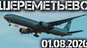 Споттинг в Шереметьево 01.08.2026