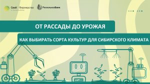 От рассады до урожая: как выбирать сорта культур для сибирского климата