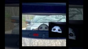 То что меня напугало...