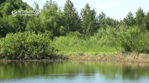 В рамках губернаторской программы ведётся очистка пруда в деревне Русаки.