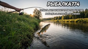 ГОЛАВЛЬ ВЫПРЫГИВАЕТ ПРЯМ ПОД БЕРЕГОМ! РЫБАЛКА ЗА ГОЛОВЛЁМ НА СПИНИНГ.