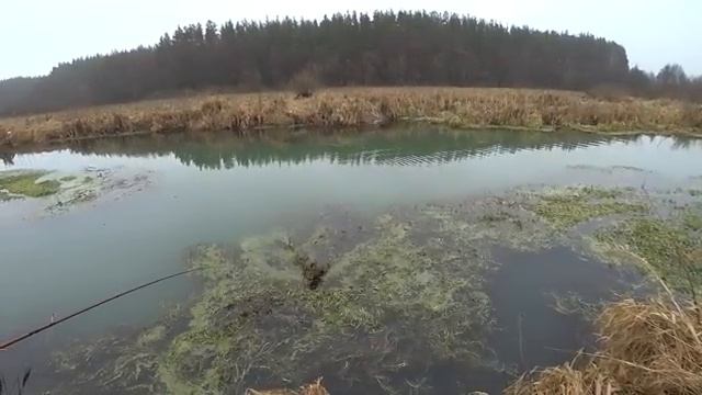 ТАКОГО Я ТОЧНО НЕ ОЖИДАЛ. НАТАСКАЛ ЩУК НА СПИННИНГ из микро речки. Рыбалка на спиннинг 2026