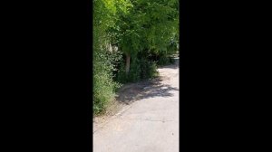 Волжский центр