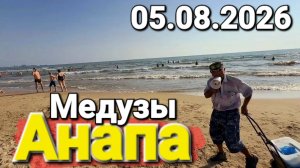 Анапа МЕДУЗЫ Кишат в грязном море Время 17:30  Пляж Динамо