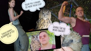 Сова Ёль говорит, что Егора подменили в Сочи! Нашлась ежонка Фасолька. Маша опять не в платье!
