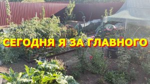 165. Сегодня я главный