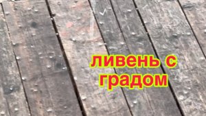 3/8 26  ВЫПАЛ ГРАД.  ПРОДАЮ КАРТОФЕЛЬНУЮ БОТВУ. ЧТО МЫ НАТВОРИЛИ. ЭКСПЕРИМЕНТ УДАЛСЯ.