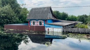 Вода уходит, рыба гибнет: чем обернулся спад уровня рек в Тюменской области
