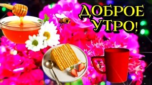 С ДОБРЫМ УТРОМ! КРАСИВАЯ ВИДЕООТКРЫТКА