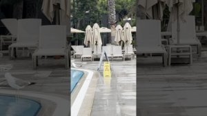 Обзор отеля Balmy Foresta 5*   Честный отзыв турагента