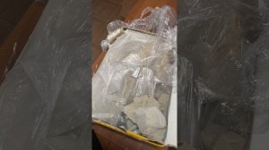 Распаковка новых сортов . Глинка