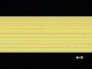 RSA: yandex2x2