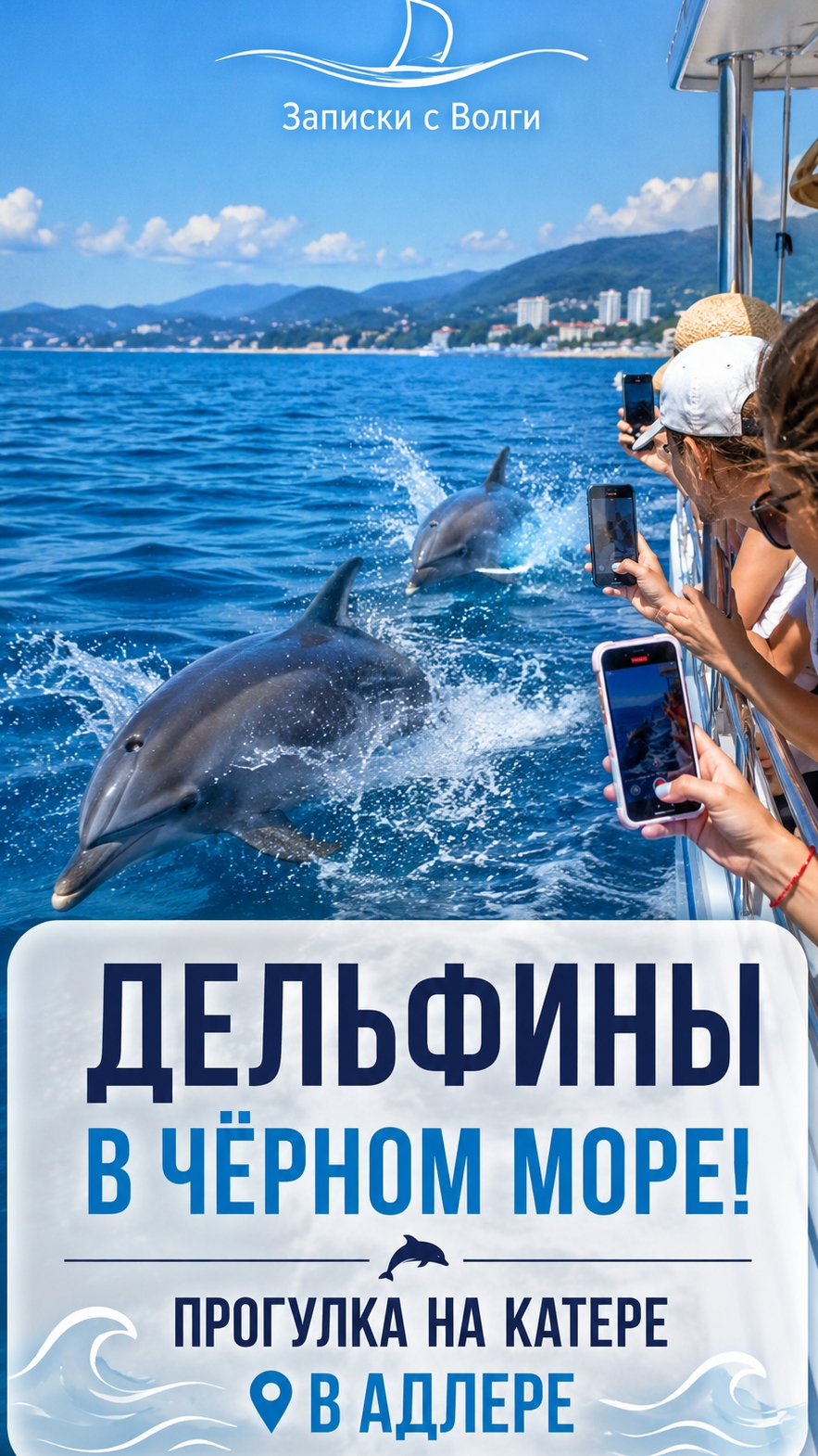 Морская прогулка: дельфины и море. Boat Tour: Dolphins & Sea Views 🚤