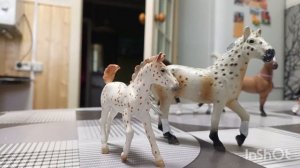пароды моих лошадей шляйх 🐴💗❤️🐎