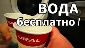 ЦЕНЫ В НЕБЕ НА БОРТУ УРАЛЬСКИХ АВИАЛИНИЙ! НАПИТОК В ПОДАРОК. РЕЙС СОЧИ-МОСКВА. НОЯБРЬ 2025.