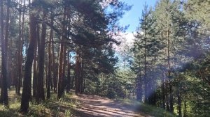 Очень распространенный способ манипуляции и обмана на работе и не только