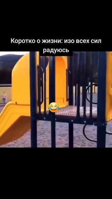 #приколы дня