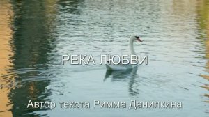 Река любви_DICKO