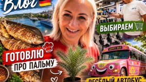 Влог 🇩🇪 весело прокатилась ✔️ ответ на вопрос 💬 готовлю 🐟 В магазине , выбираем ⏰ наши будни