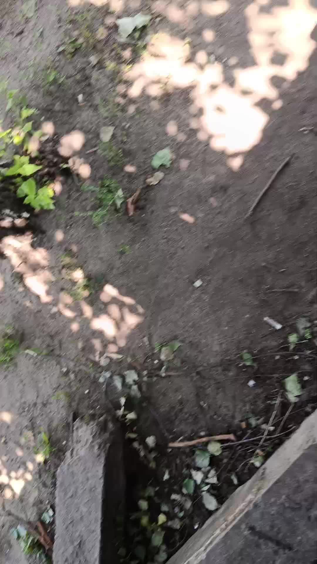 пр