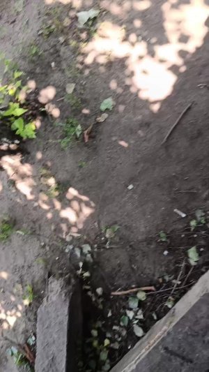 пр