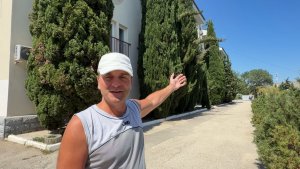 Кипарис и туя: два природных композита с уникальными свойствами. ТОСК Приморье, Коктебель, Крым 2026
