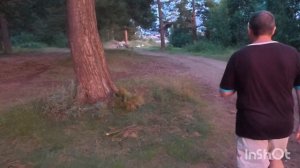 Встретили одноклассников спустя 16 лет! Обычная прогулка превратилась в настоящее событие