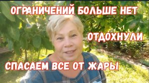 323🏡 Ограничений нет/Отдохнули/Спасаем все от жары/Огород без ухода