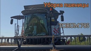 Уборочная пшеницы в пять комбайнов TORUM 785.