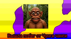 первый взгляд на побег от Чунга чанги