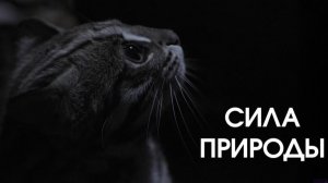 Сила природы - 3 серия (2026) / Force of Nature