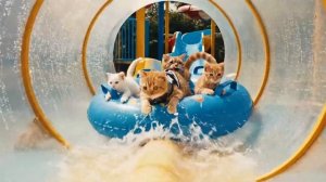 Мама-кошка подстригает шерсть на ферме и делает тигровую шапку для котят дома🐾🎩🐯
