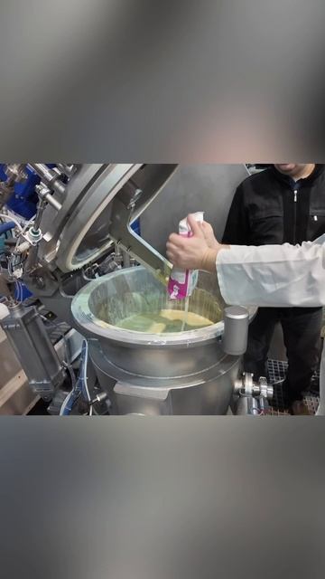 Что делать с некондиционными остатками сыра с плесенью?
