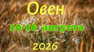 Овен♈Таро-прогноз на неделю с 10 по 16 августа 🕊