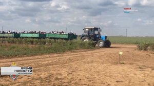 74 иностранца доставили в отдел полиции после рейдов под Волгоградом