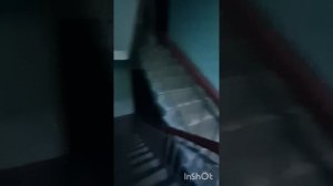 Талинская 16.mp4