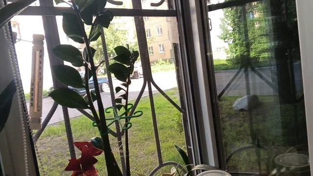 Немного из жизни в июле.