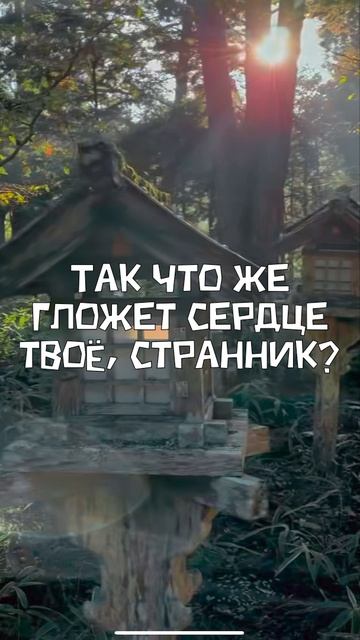 Историю про вечный поиск