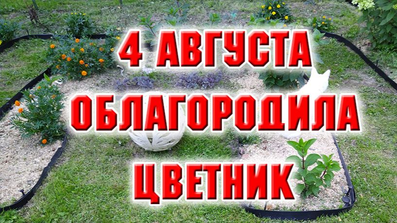4 августа. Облагородила гортензиевый уголок
