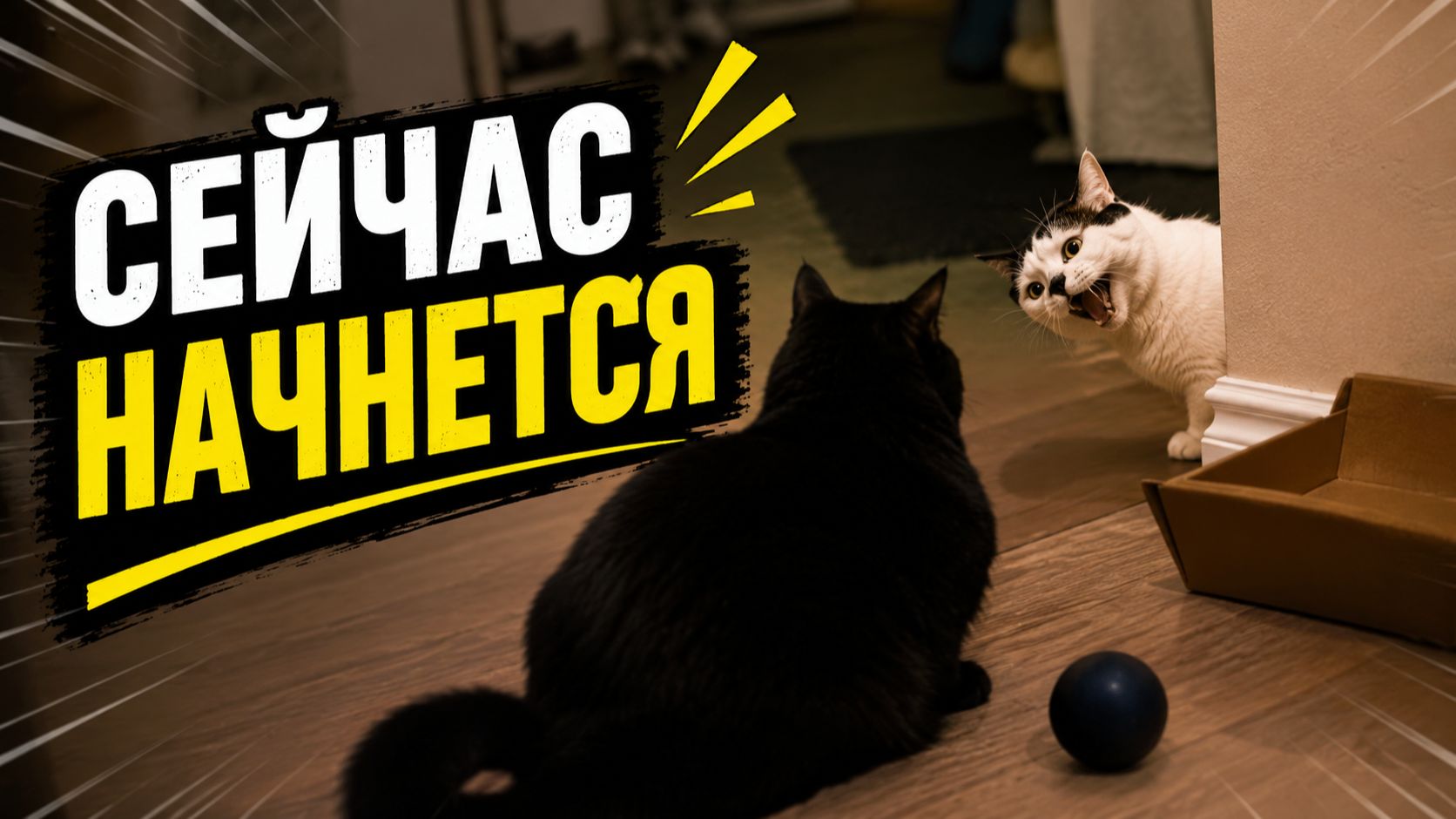 Смех до слёз: лучшие приколы №307