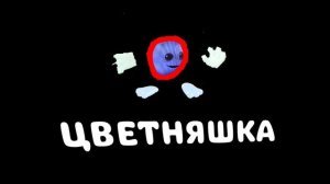Цветняшка Представляет 2022
