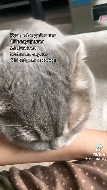 ★Коротко о прививках в школе:★