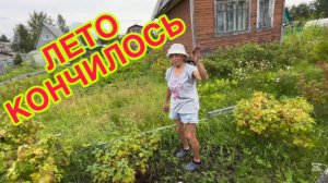 2/8 26 СНЯЛА ПОМИДОРЫ.  ЮВЕЛИРНАЯ СТРИЖКА.  ТОЛЬКО РАДИ  ВОЗДУХА. СНЕГУ БЫ НЕ НАНЕСЛО.