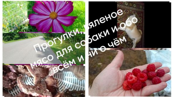 Отпуск, ремонт, вяленое мясо для собаки и о бо всём и не о чём)