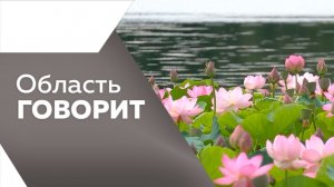 Область говорит №255