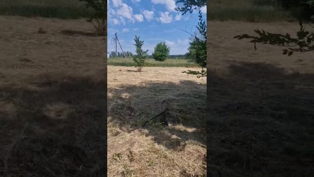 VID_20260805_115908