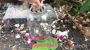 жеребята без взрослых 😂😂😂😂😂😂😂